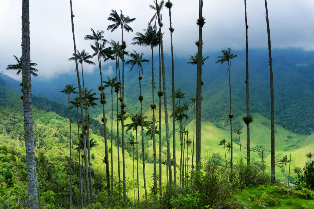 turismo de naturaleza en Caldas