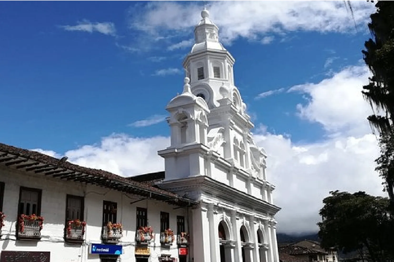 city tour Salamina