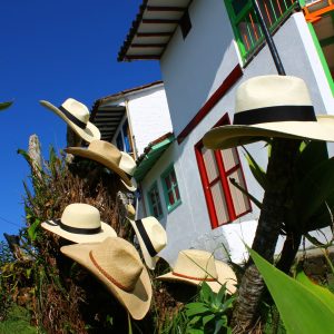 CALDAS NATURAL Y CULTURAL