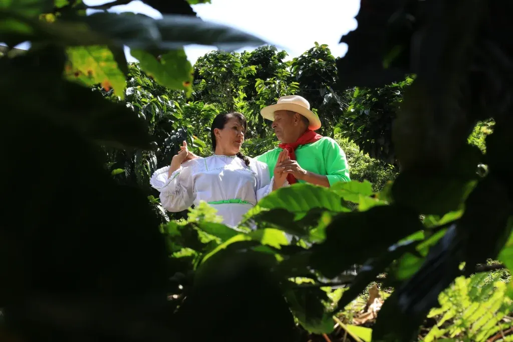Experiencia de cultura tradicional y cafetera en Manizales con Caldas Ecotravel.