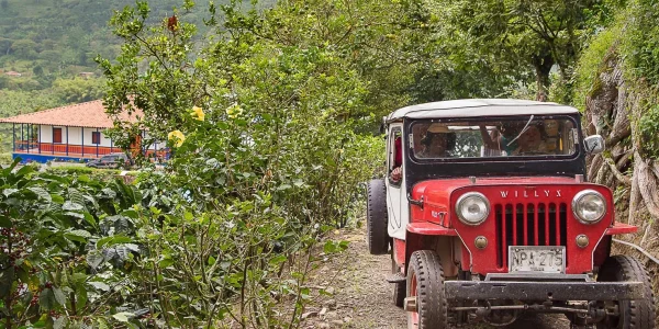 Tour Paisaje Cultural Cafetero (Pasadía)