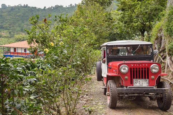 Tour Paisaje Cultural Cafetero (Pasadía)