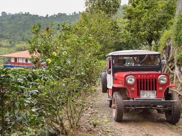 Tour Paisaje Cultural Cafetero (Pasadía)