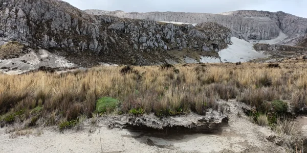 Parque Nacional Natural Los Nevados (Pasadía)