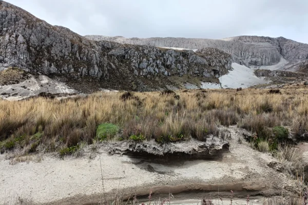 Parque Nacional Natural Los Nevados (Pasadía)