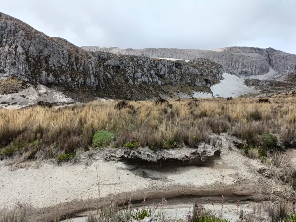 Parque Nacional Natural Los Nevados (Pasadía)