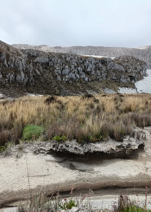Parque Nacional Natural Los Nevados (Pasadía)