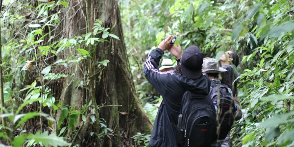 Tour de La Cinco (Pasadía)