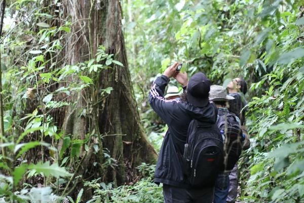 Tour de La Cinco (Pasadía)