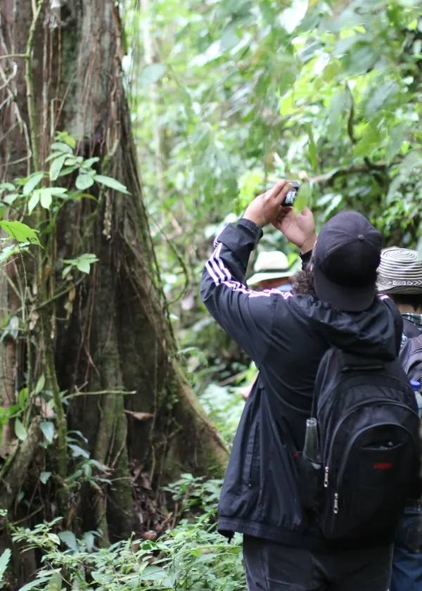 Tour de La Cinco (Pasadía)